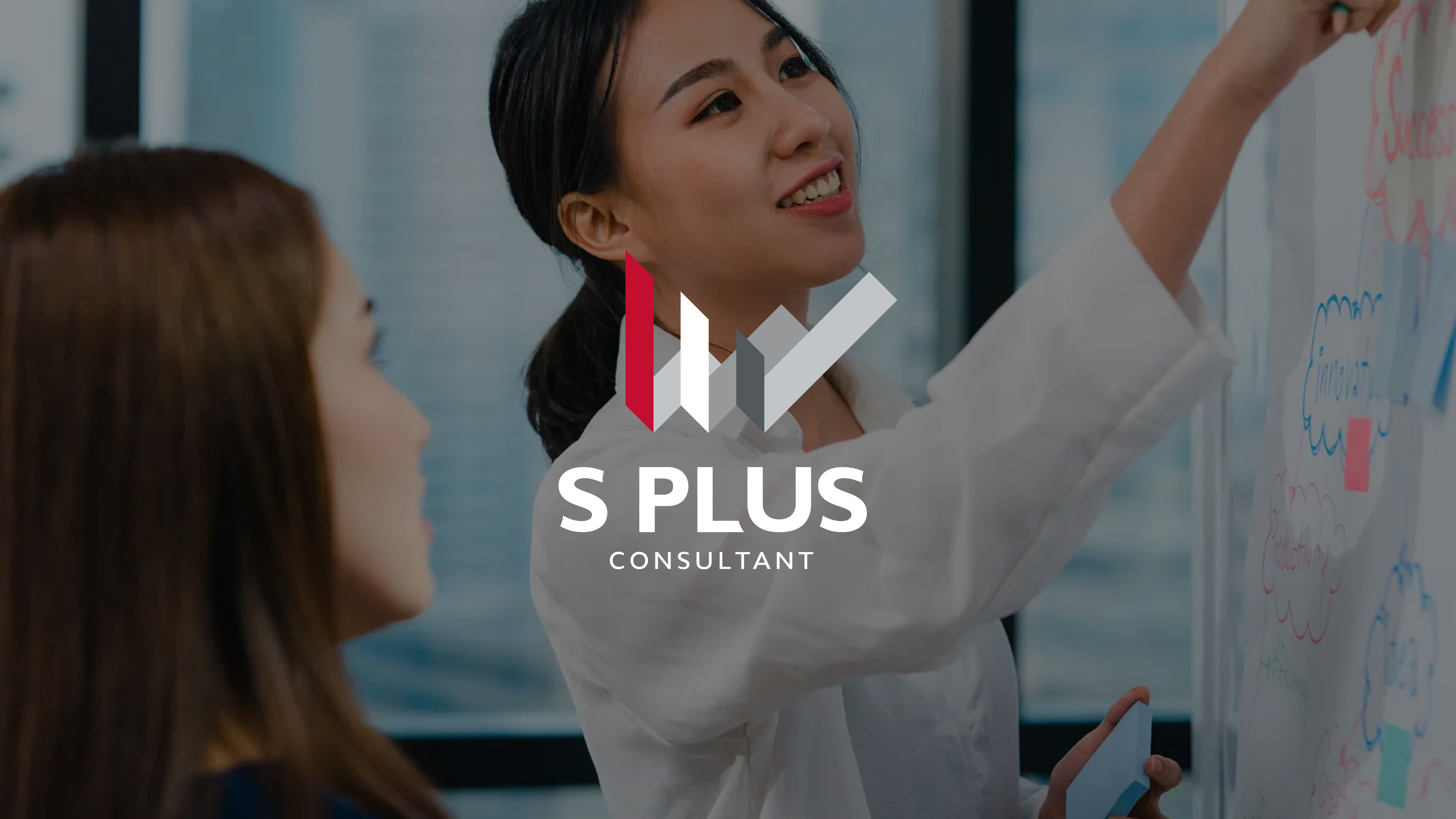 S PLUS Consultant